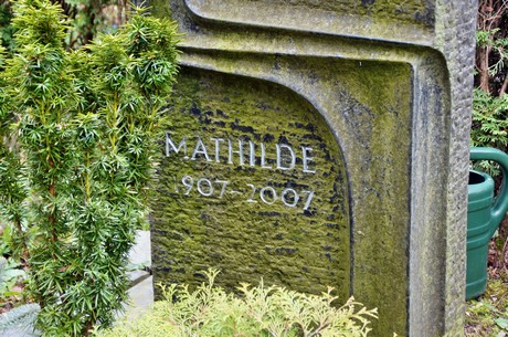 friedhof