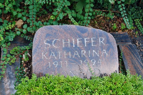 friedhof-niehl