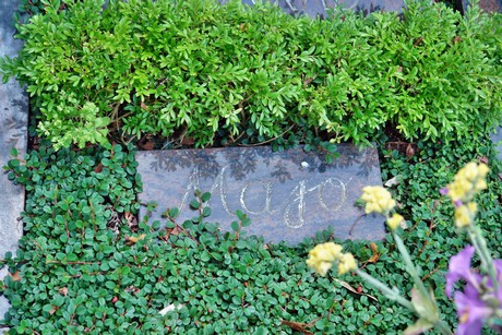 friedhof-niehl