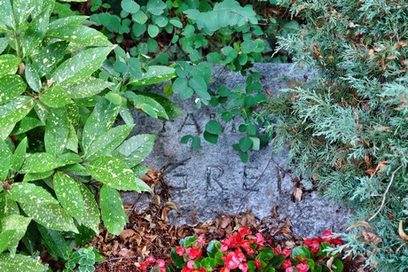 friedhof-niehl