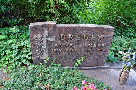 friedhof-niehl