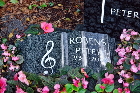 friedhof-niehl