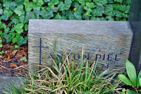 friedhof-niehl