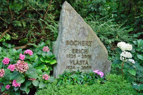 friedhof-niehl