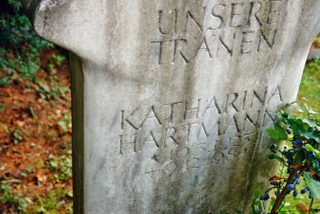 friedhof-niehl