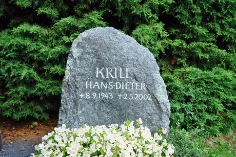 friedhof-niehl