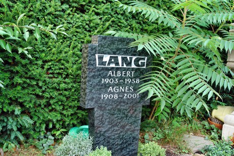 friedhof-niehl