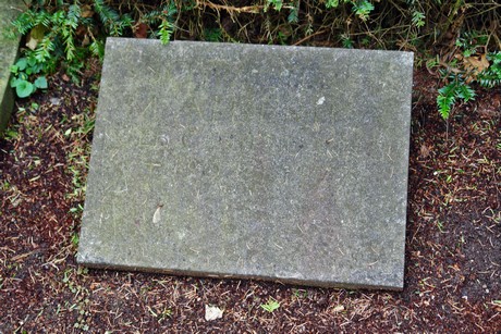 friedhof-niehl