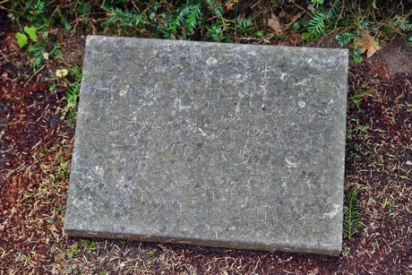 friedhof-niehl