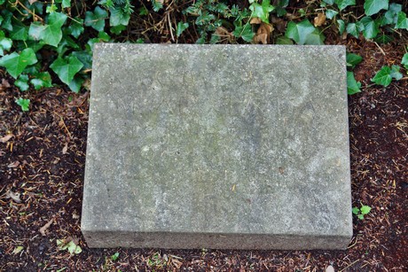 friedhof-niehl