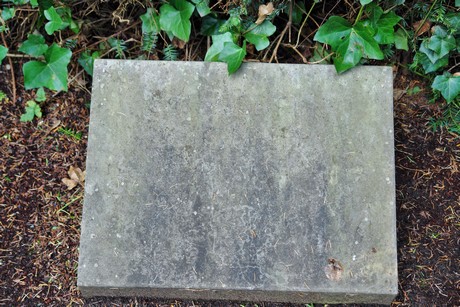 friedhof-niehl