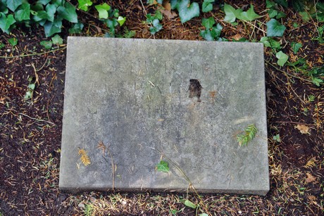 friedhof-niehl