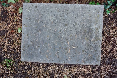 friedhof-niehl