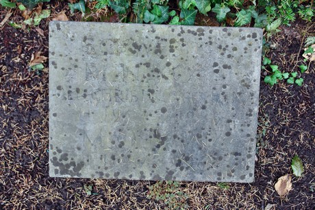 friedhof-niehl