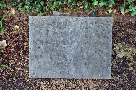 friedhof-niehl