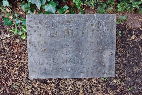 friedhof-niehl