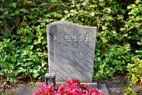 friedhof-niehl