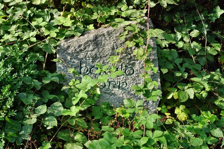 friedhof-niehl