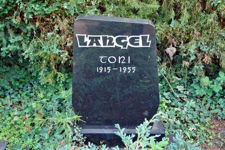 friedhof-niehl