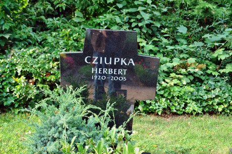 friedhof-niehl