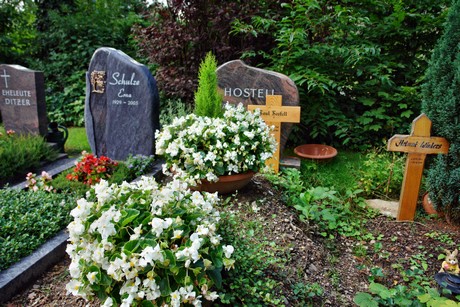 friedhof-niehl