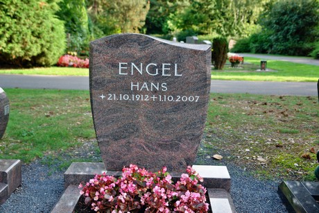 friedhof-niehl