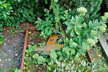 friedhof-niehl