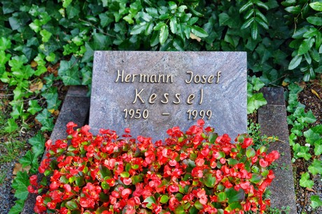 friedhof-niehl