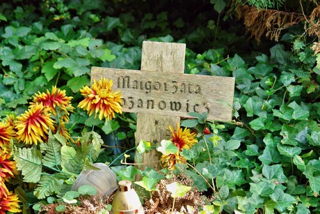 friedhof-niehl