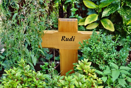 friedhof-niehl