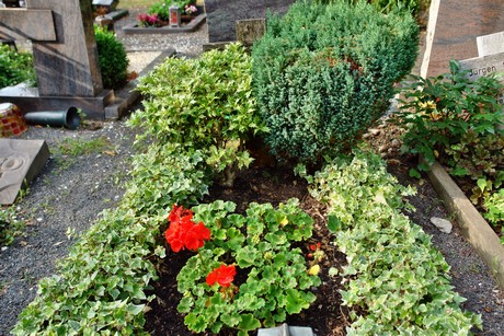 friedhof-niehl