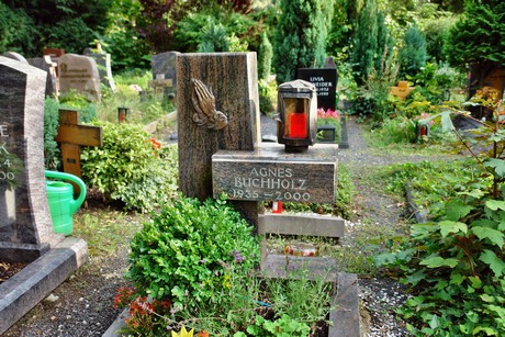 friedhof-niehl