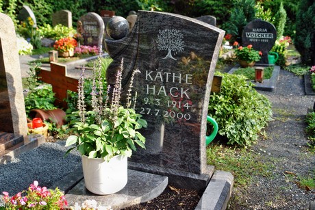 friedhof-niehl