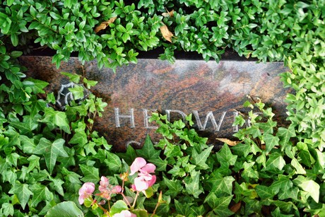 friedhof-niehl
