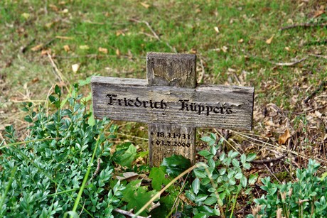 friedhof-niehl