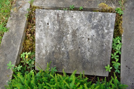 friedhof-niehl