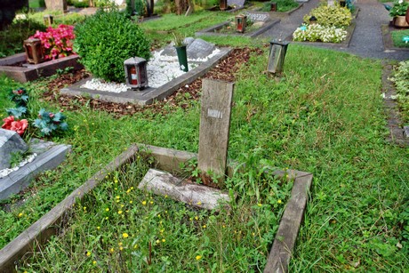 friedhof-niehl