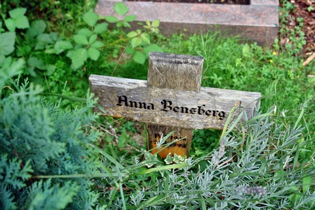 friedhof-niehl