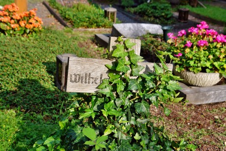 friedhof-niehl