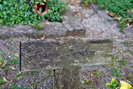 friedhof-niehl