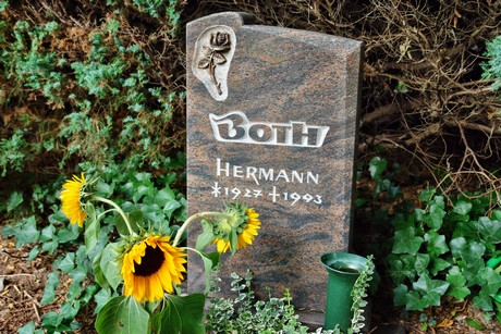 friedhof-niehl