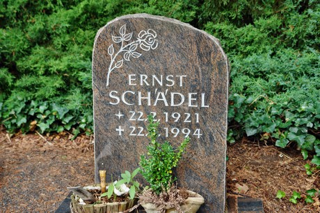friedhof-niehl