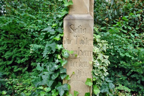 friedhof-niehl