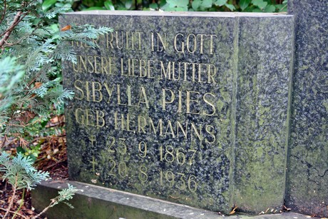 friedhof-niehl