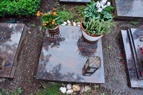 friedhof-niehl
