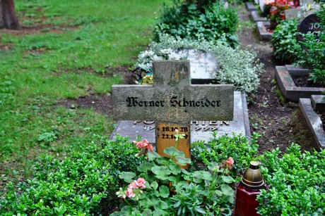 friedhof-niehl