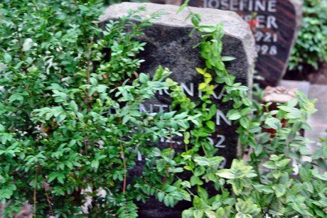 friedhof-niehl