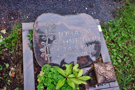 friedhof-niehl
