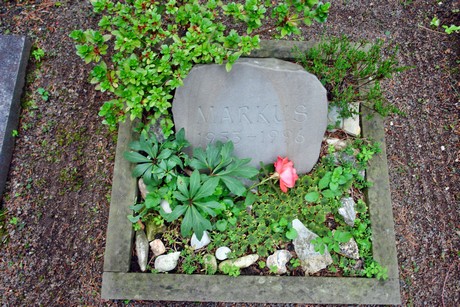 friedhof-niehl