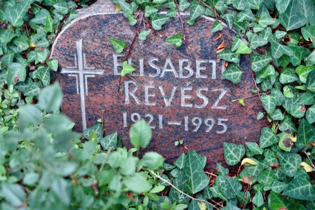 friedhof-niehl